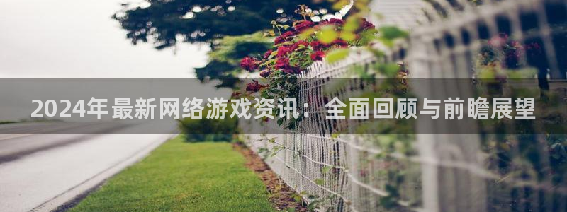 赢咖娱乐开户测速：2024年最新网络游戏资讯：全面回顾与前瞻