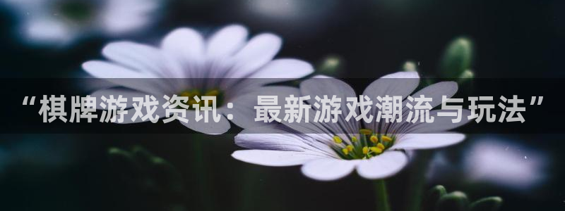 赢咖娱乐注册开户：“棋牌游戏资讯：最新游戏潮流与玩法”