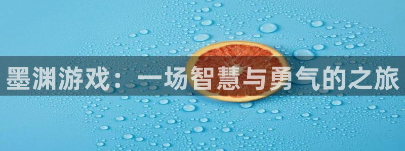 赢咖娱乐是什么：墨渊游戏：一场智慧与勇气的之旅