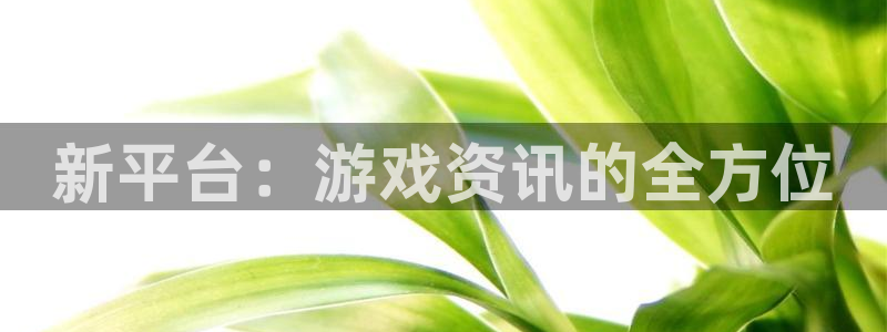 赢咖娱乐科技：新平台：游戏资讯的全方位