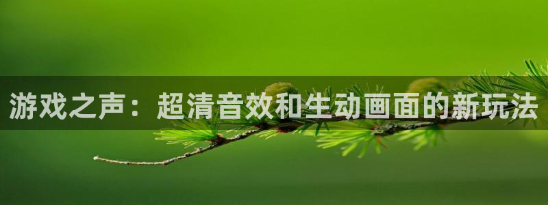 赢咖娱乐2首页登录：游戏之声：超清音效和生动画面的新玩法