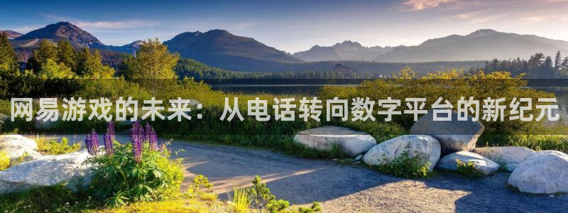 赢咖娱乐官方登录网址：网易游戏的未来：从电话转向数字平台的新